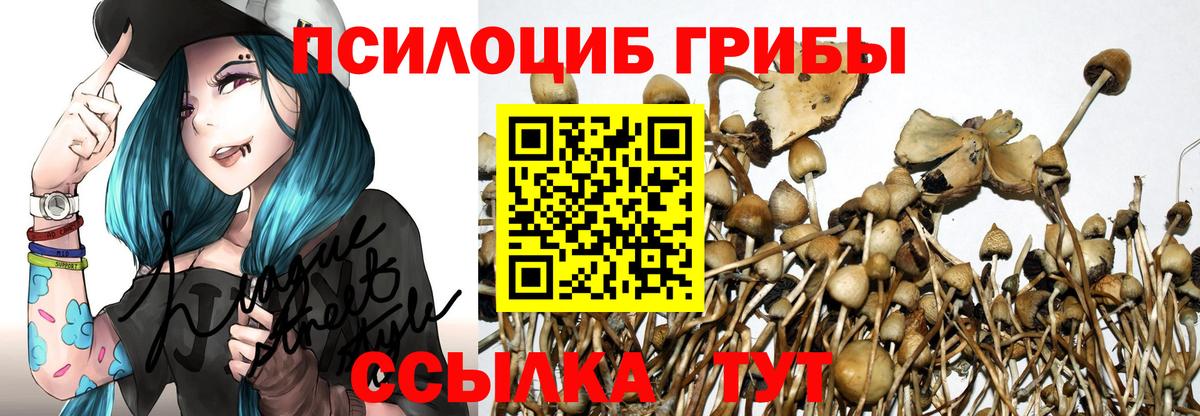 Псилоцибиновые грибы мицелий  закладка  Ухта  Вход с VPN 